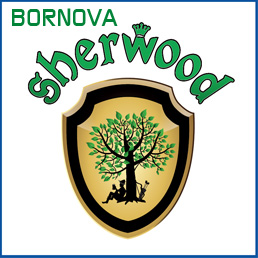 Seherwood Bornova Pub